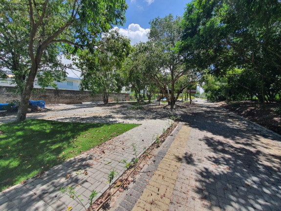 Imagem Terreno à Venda, 1.000 m² em Busca Vida - Camaçari Imagem Terreno à Venda, 1.000 m² em Busca Vida - Camaçari