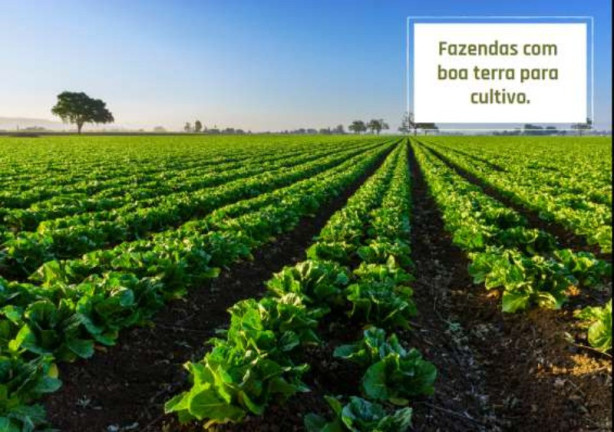 Imagem Imóvel à Venda, 20.000 m² em Fazendinhas Recanto Da Jaguara - Jaboticatubas Imagem Imóvel à Venda, 20.000 m² em Fazendinhas Recanto Da Jaguara - Jaboticatubas