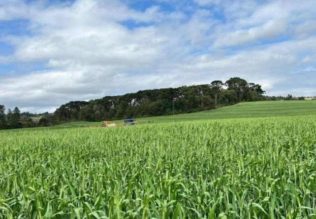 Imagem Fazenda à Venda, 242.000 m² em Centro - Sao Mateus Do Sul