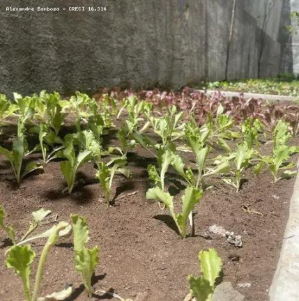 Imagem Apartamento com 2 Quartos à Venda, 50 m² em Madalena - Recife