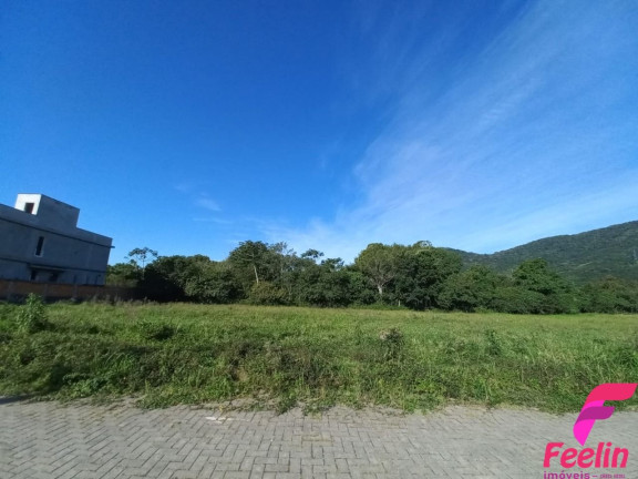 Terreno à Venda, 460 m² em Ribeirão Da Ilha - Florianópolis