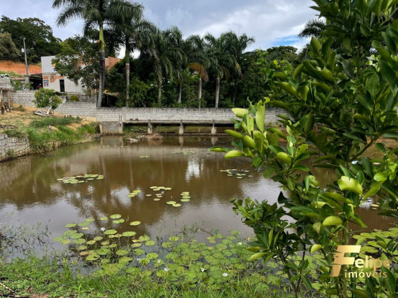 Imagem Imóvel com 1 Quarto à Venda, 2.000 m² em Tartaruga - Guarapari