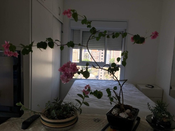 Imagem Kitnet com 1 Quarto para Alugar, 45 m² em Vila Mariana - São Paulo Imagem Kitnet com 1 Quarto para Alugar, 45 m² em Vila Mariana - São Paulo