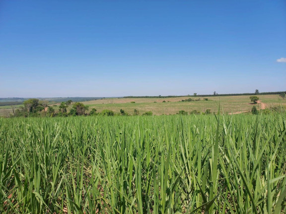 Imagem Chácara à Venda, 35 m² em Centro - Brumadinho Imagem Chácara à Venda, 35 m² em Centro - Brumadinho