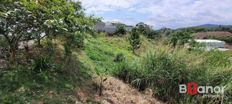 Imagem Terreno à Venda, 4.658 m² em Fortaleza Alta - Blumenau Imagem Terreno à Venda, 4.658 m² em Fortaleza Alta - Blumenau