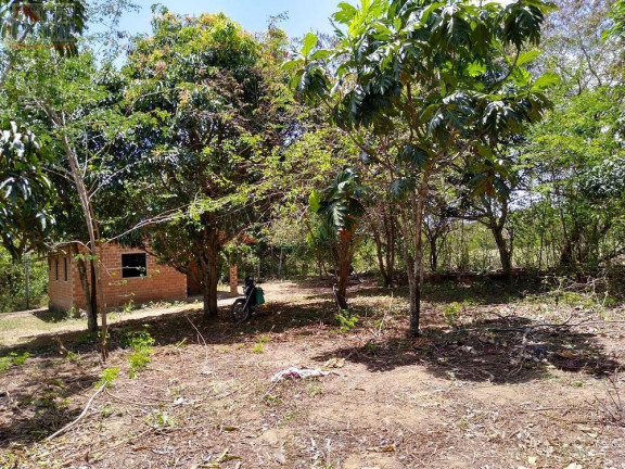 Imagem Terreno à Venda, 50.000 m² em Aldeia - Camaragibe Imagem Terreno à Venda, 50.000 m² em Aldeia - Camaragibe
