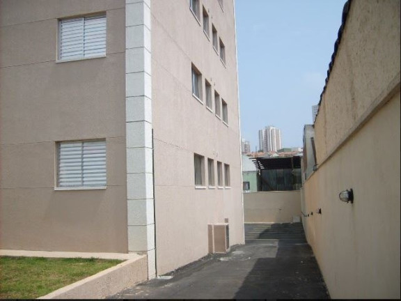 Imagem Apartamento com 3 Quartos à Venda,  em Vila Esperança - São Paulo