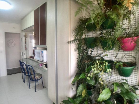 Imagem Apartamento com 3 Quartos à Venda, 105 m² em Vila Da Saúde - São Paulo Imagem Apartamento com 3 Quartos à Venda, 105 m² em Vila Da Saúde - São Paulo