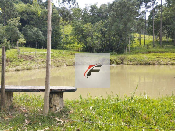 Imagem Chácara à Venda, 121.000 m² em Centro - Santa Maria Do Oeste Imagem Chácara à Venda, 121.000 m² em Centro - Santa Maria Do Oeste