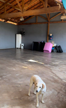 Imagem Casa com 3 Quartos à Venda, 1.000 m² em Mairiporã
