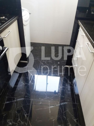 Imagem Apartamento com 2 Quartos à Venda, 48 m² em Jardim Ansalca - Guarulhos Imagem Apartamento com 2 Quartos à Venda, 48 m² em Jardim Ansalca - Guarulhos