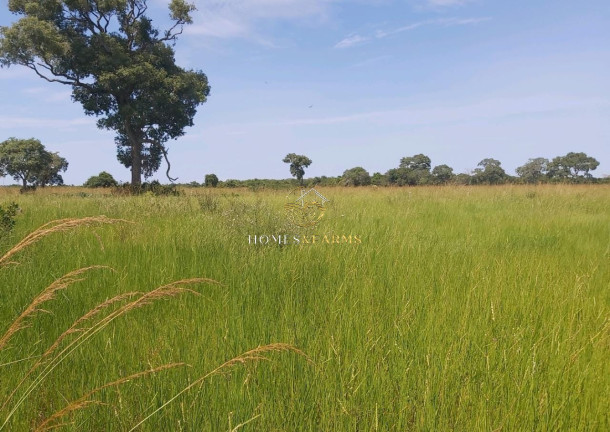 Imagem Imóvel com 3 Quartos à Venda, 1.120 m² em Zona Rural - Poconé Imagem Imóvel com 3 Quartos à Venda, 1.120 m² em Zona Rural - Poconé