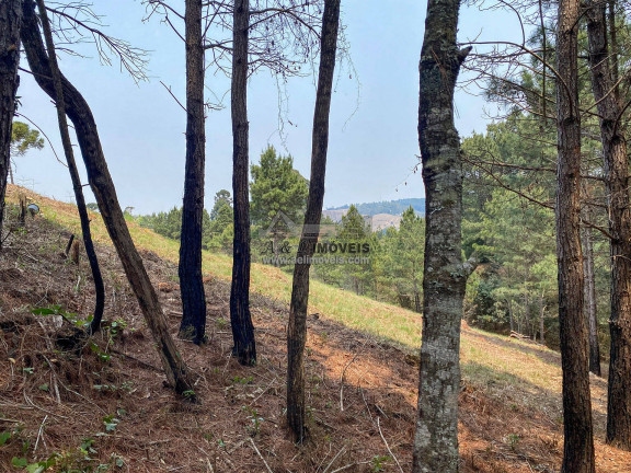 Imagem Terreno à Venda, 1 m² em Vale Encantado - Campos Do Jordão Imagem Terreno à Venda, 1 m² em Vale Encantado - Campos Do Jordão