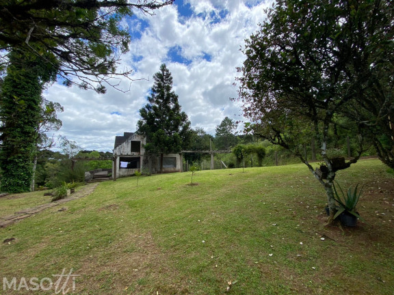 Imagem Chácara com 3 Quartos à Venda, 15.000 m² em Linha Araripe A - Gramado Imagem Chácara com 3 Quartos à Venda, 15.000 m² em Linha Araripe A - Gramado