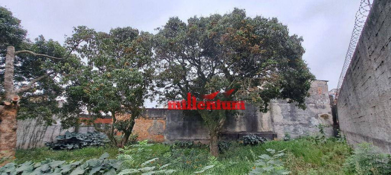 Imagem Terreno à Venda, 1.169 m² em Jardim Jaú - São Paulo Imagem Terreno à Venda, 1.169 m² em Jardim Jaú - São Paulo