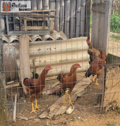 Imagem Chácara com 2 Quartos à Venda, 44.500 m² em Capivari - Monte Mor Imagem Chácara com 2 Quartos à Venda, 44.500 m² em Capivari - Monte Mor