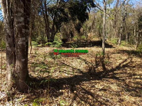 Imagem Chácara à Venda, 30.000 m² em Centro - Monteiro Lobato Imagem Chácara à Venda, 30.000 m² em Centro - Monteiro Lobato