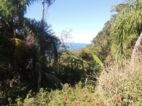Imagem Terreno à Venda, 16.948 m² em Praia Da Ferrugem - Garopaba Imagem Terreno à Venda, 16.948 m² em Praia Da Ferrugem - Garopaba