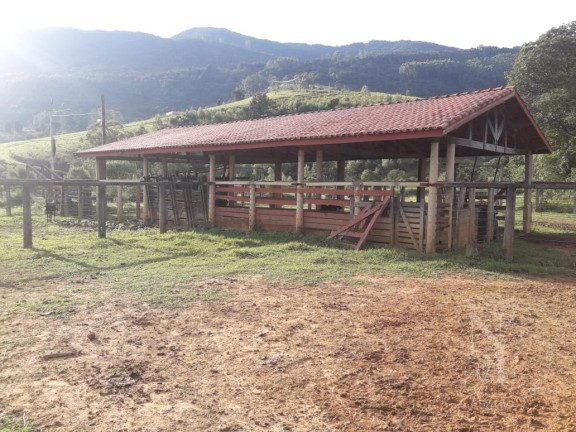 Imagem Imóvel com 3 Quartos à Venda, 500 m² em Centro - Joanópolis Imagem Imóvel com 3 Quartos à Venda, 500 m² em Centro - Joanópolis