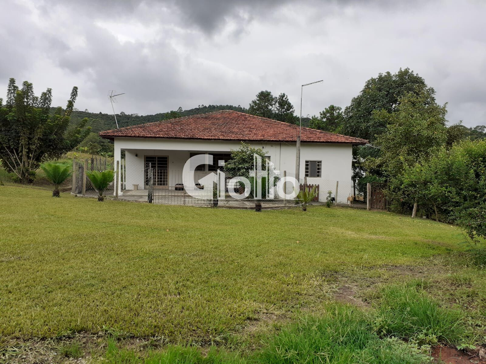 Imagem Imóvel com 3 Quartos à Venda, 17.000 m² em Parque São Martinho - Mogi Das Cruzes