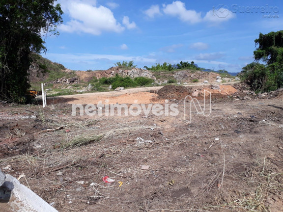 Imagem Terreno à Venda, 16.000 m² em Fazenda Santo Antônio - São José Imagem Terreno à Venda, 16.000 m² em Fazenda Santo Antônio - São José