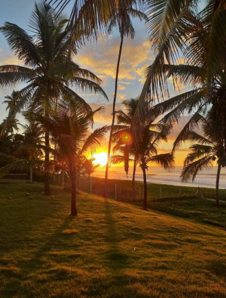 Imagem Casa com 6 Quartos à Venda, 8.000 m² em Busca Vida - Camaçari