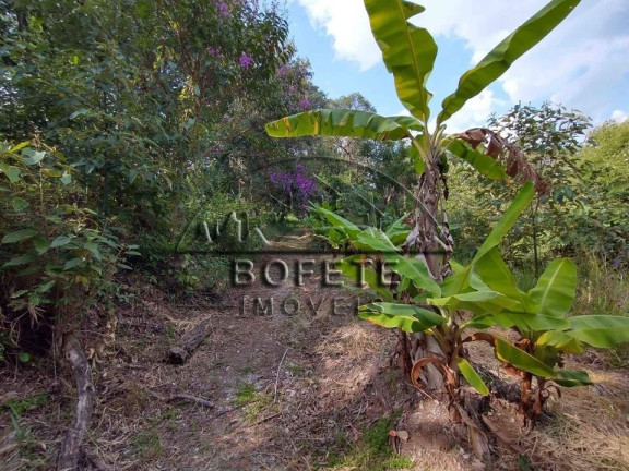 Imagem Imóvel com 3 Quartos à Venda, 25.359 m² em São Marcos - Bofete Imagem Imóvel com 3 Quartos à Venda, 25.359 m² em São Marcos - Bofete