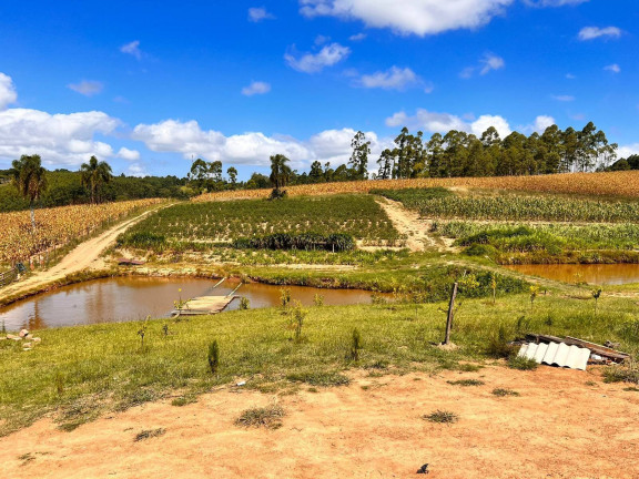 Imagem Chácara com 2 Quartos à Venda, 6 m² em Morungava - Gravataí