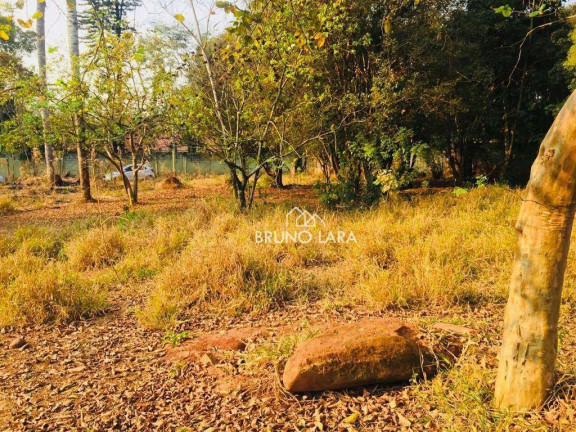 Imagem Imóvel à Venda, 12.000 m² em Cidade Nova - Igarapé Imagem Imóvel à Venda, 12.000 m² em Cidade Nova - Igarapé