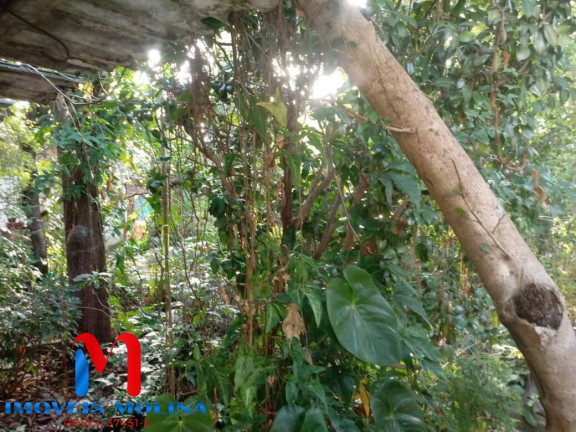 Imagem Terreno à Venda, 660 m² em Vila Nova Pauliceia - São Paulo Imagem Terreno à Venda, 660 m² em Vila Nova Pauliceia - São Paulo