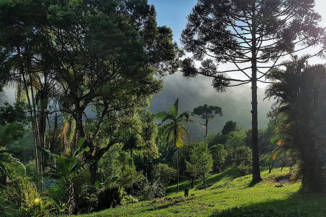 Imagem Chácara à Venda, 330 m² em Palhoça
