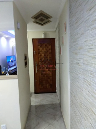 Imagem Apartamento com 3 Quartos à Venda, 55 m² em Jardim Santa Terezinha (zona Leste) - São Paulo Imagem Apartamento com 3 Quartos à Venda, 55 m² em Jardim Santa Terezinha (zona Leste) - São Paulo
