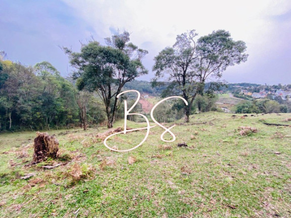 Imagem Terreno à Venda, 48.300 m² em Mato Queimado - Gramado Imagem Terreno à Venda, 48.300 m² em Mato Queimado - Gramado
