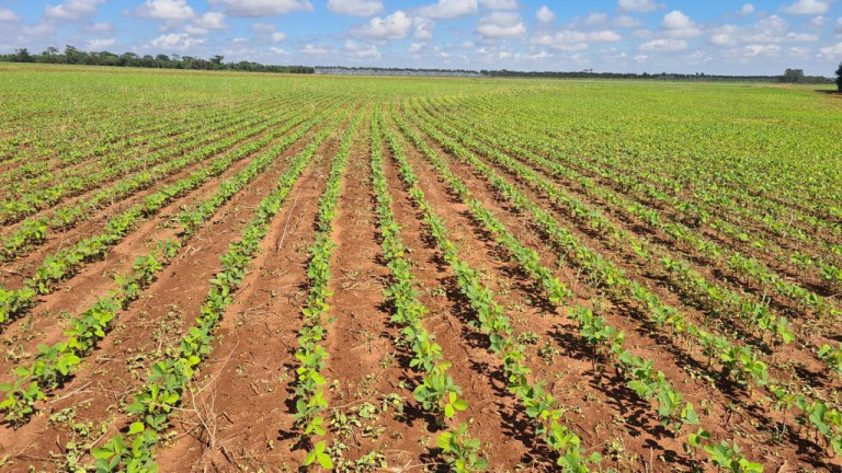 Imagem Imóvel à Venda, em Rural - Bataguassu Imagem Imóvel à Venda, em Rural - Bataguassu