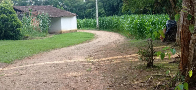 Imagem Chácara com 2 Quartos à Venda, 5.445 m² em Centro - Agudos Do Sul