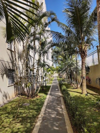Imagem Apartamento com 2 Quartos à Venda, em Jardim Santa Terezinha (zona Leste) - São Paulo Imagem Apartamento com 2 Quartos à Venda, em Jardim Santa Terezinha (zona Leste) - São Paulo