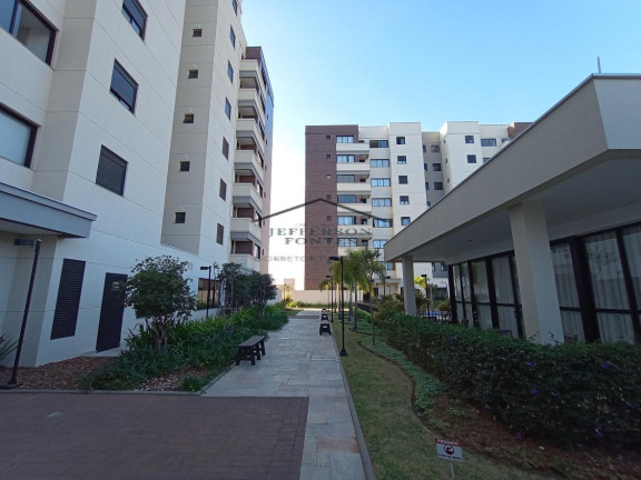 Imagem Apartamento com 2 Quartos à Venda, 58 m² em Fragata - Marília Imagem Apartamento com 2 Quartos à Venda, 58 m² em Fragata - Marília