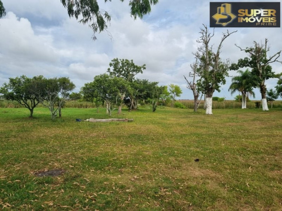 Imagem Imóvel com 2 Quartos à Venda, 14.700.000 m² em Quinta - Rio Grande Imagem Imóvel com 2 Quartos à Venda, 14.700.000 m² em Quinta - Rio Grande