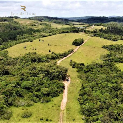 Imagem Chácara à Venda, 5.000 m² em Fiuza - Viamão Imagem Chácara à Venda, 5.000 m² em Fiuza - Viamão