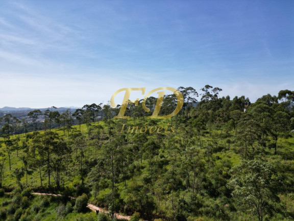 Imagem Imóvel Comercial à Venda, 380.000 m² em Terra Preta - Mairiporã