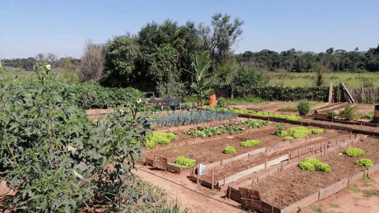 Imagem Fazenda à Venda, 22 m² em Roque - Pirassununga Imagem Fazenda à Venda, 22 m² em Roque - Pirassununga