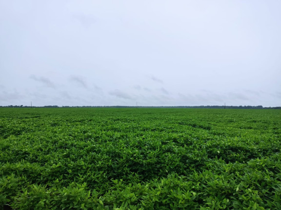 Imóvel à Venda, 409 m² em área Rural De Porto Alegre Do Norte - Porto Alegre Do Norte