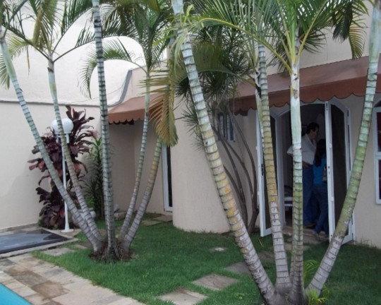 Imagem Casa com 3 Quartos à Venda, 500 m² em Indianópolis - São Paulo