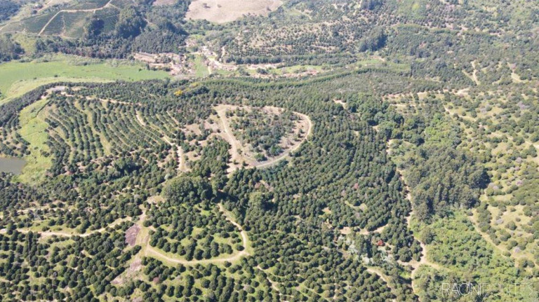 Imagem Fazenda à Venda, 6.220.000 m² em Zona Rural - São Sebastião Da Grama Imagem Fazenda à Venda, 6.220.000 m² em Zona Rural - São Sebastião Da Grama