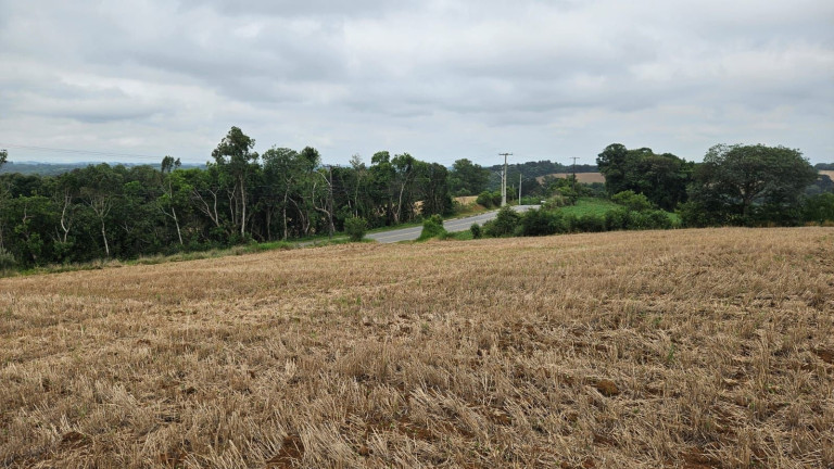Terreno à Venda, 84.700 m² em Guajuvira - Araucaria
