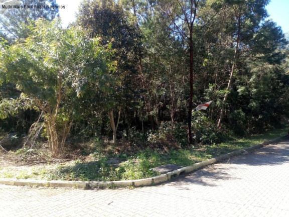 Terreno à Venda, 1.517 m² em Juriti - Nova Petrópolis