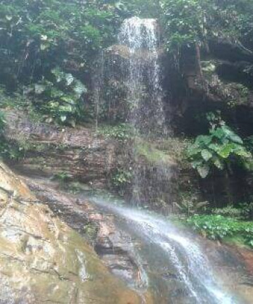 Imagem Chácara à Venda, 750.000 m² em Presidente Figueiredo