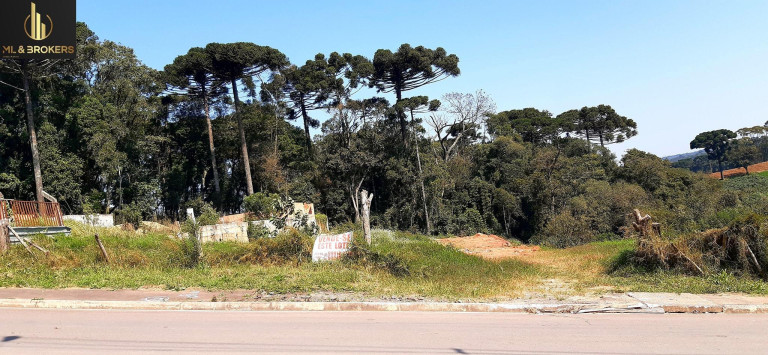 Imagem Terreno à Venda, 1.440 m² em Jardim São João - Contenda Imagem Terreno à Venda, 1.440 m² em Jardim São João - Contenda