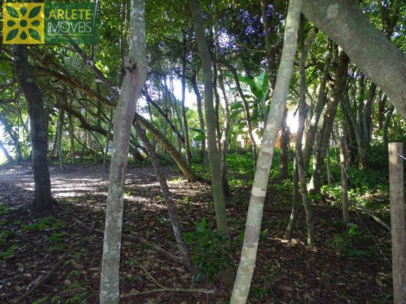 Imagem Terreno à Venda, 521 m² em Centro - Bombinhas Imagem Terreno à Venda, 521 m² em Centro - Bombinhas