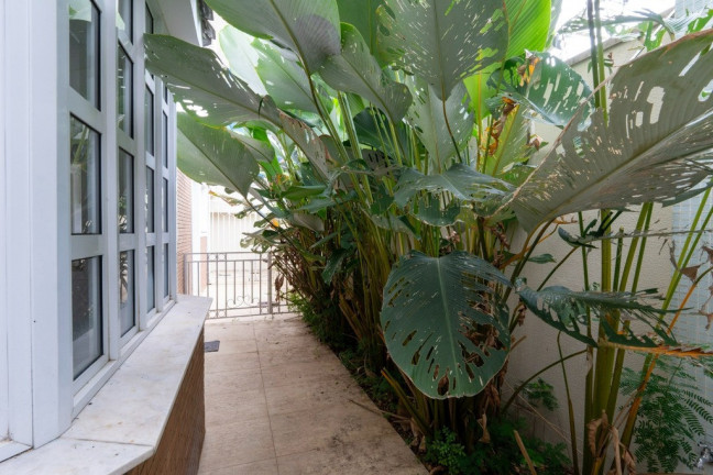 Imagem Casa com 5 Quartos à Venda, 424 m² em Jardim Petrópolis - São Paulo Imagem Casa com 5 Quartos à Venda, 424 m² em Jardim Petrópolis - São Paulo